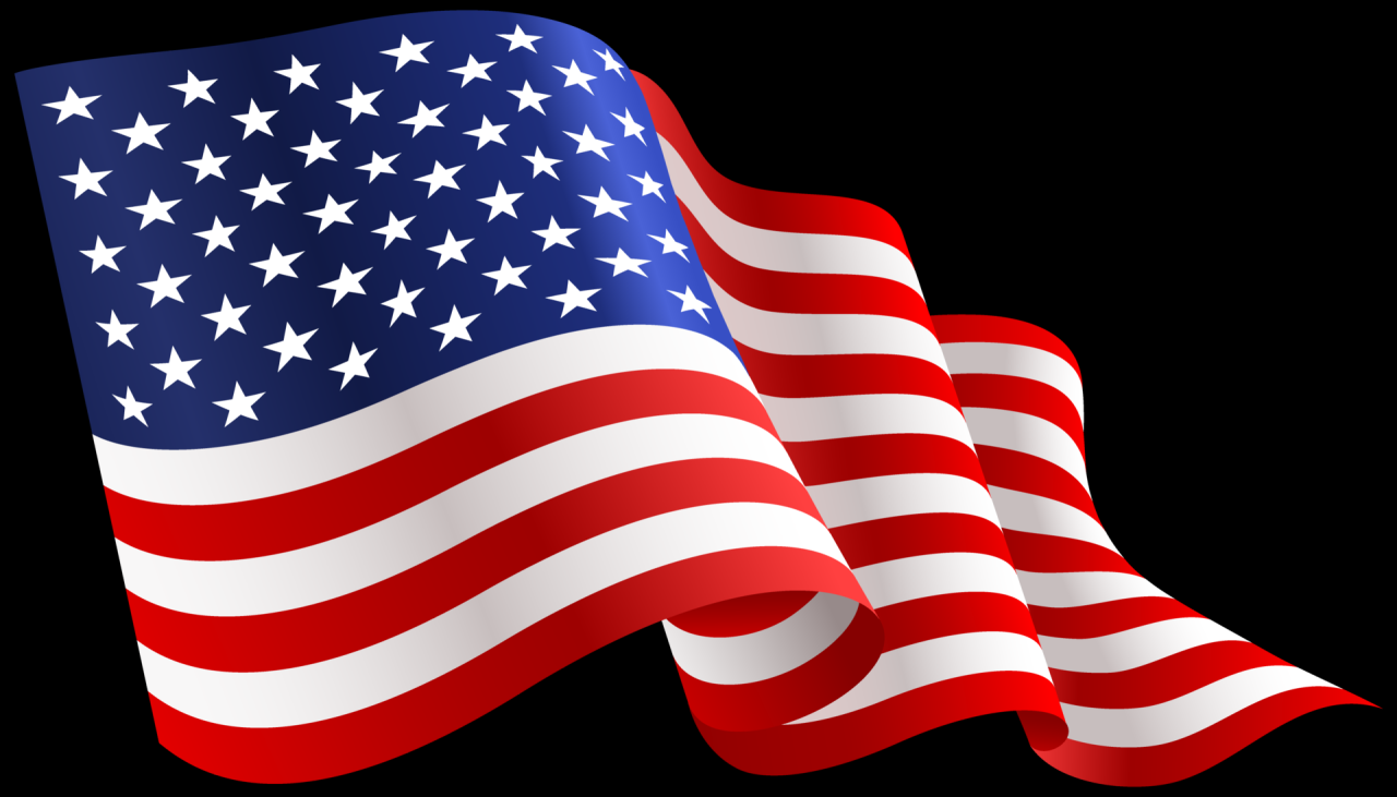 USA Patriotic Eagle Flag PNG Transparent Clipart Abstact - Etsy Australia