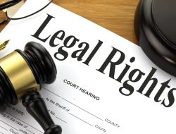 Legal scooter navigating the world of translation