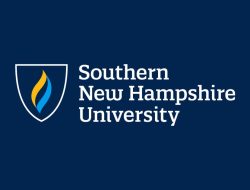 Snhu Digital Marketing Strategies For Success