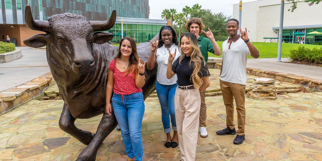 Earn your USF Digital Marketing Certificate while receiving your ...