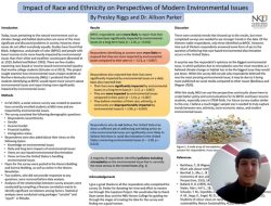 Nku Online Learning A Gateway To Global Education