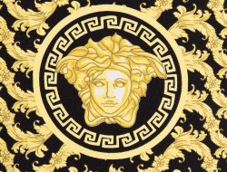 Versace clothing line Elevate Your Style Today