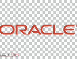 Oracle Netsuite Accounting Software Your Ultimate Guide