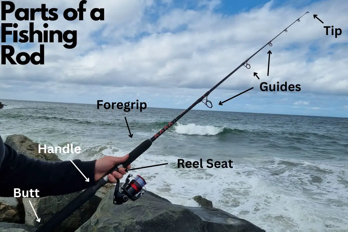 9 Essential Parts Of A Fishing Rod: Explained – All Fishing Gear 9 Essential Parts Of A Fishing Rod: Explained – All Fishing Gear
