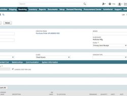 netsuites accounting software Transforming Business Finance