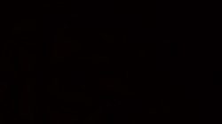 black bear brand clothing Experience Natures Comfort