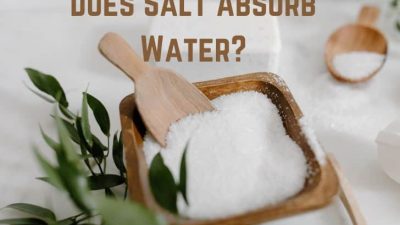 Does Salt Absorb Water? (Yes. It Does) | Earth Eclipse