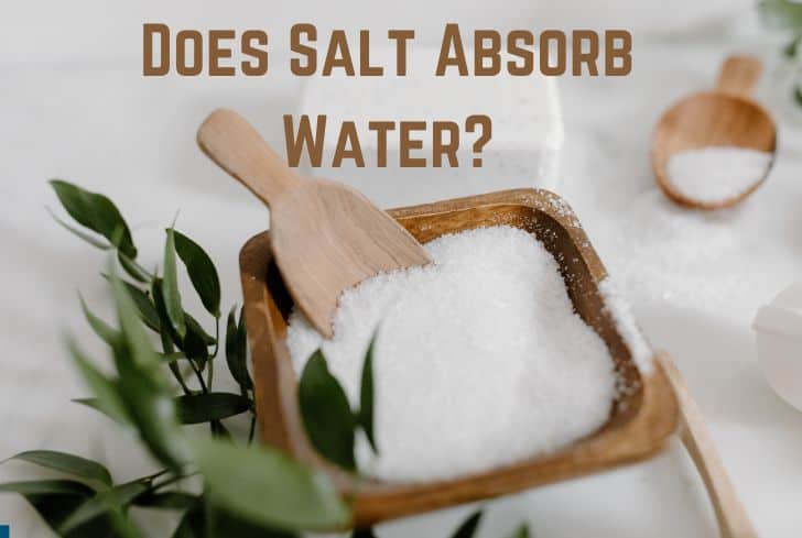 Does Salt Absorb Water? (Yes. It Does) | Earth Eclipse Does Salt Absorb Water? (Yes. It Does) | Earth Eclipse
