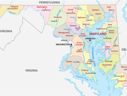 md anderson clothing Elevate Your Style with Purpose