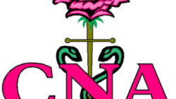 CNA（サービスのご案内）