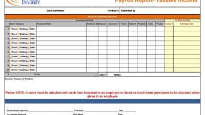 Payroll Software For Accountants Streamlining Tasks